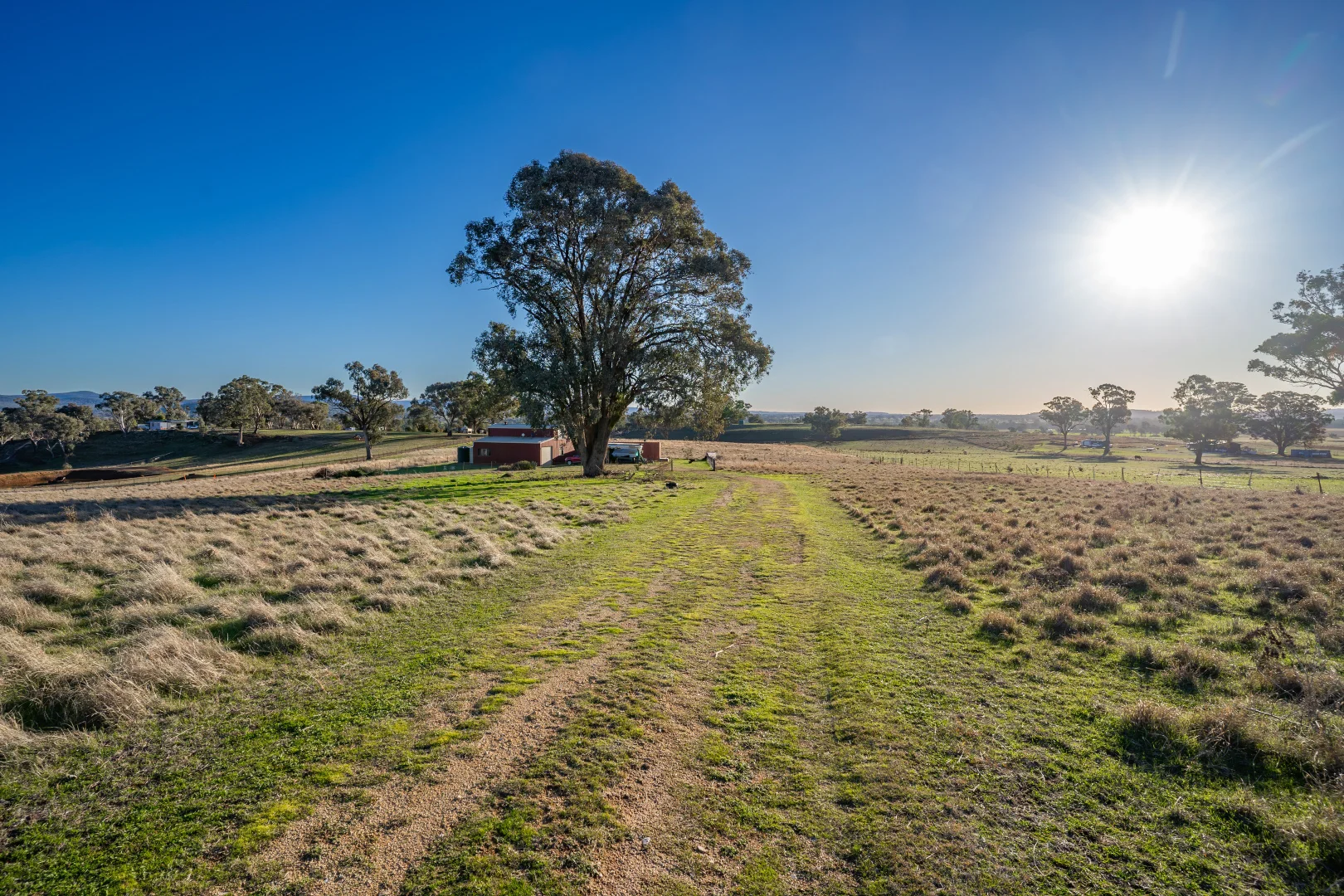 Additional image 13 of 152 Cultowa Lane, Canowindra NSW 2804