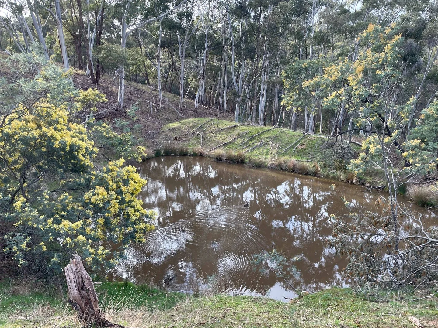 Additional image 2 of 210 & 230 Mannings Road, Dry Diggings VIC 3461