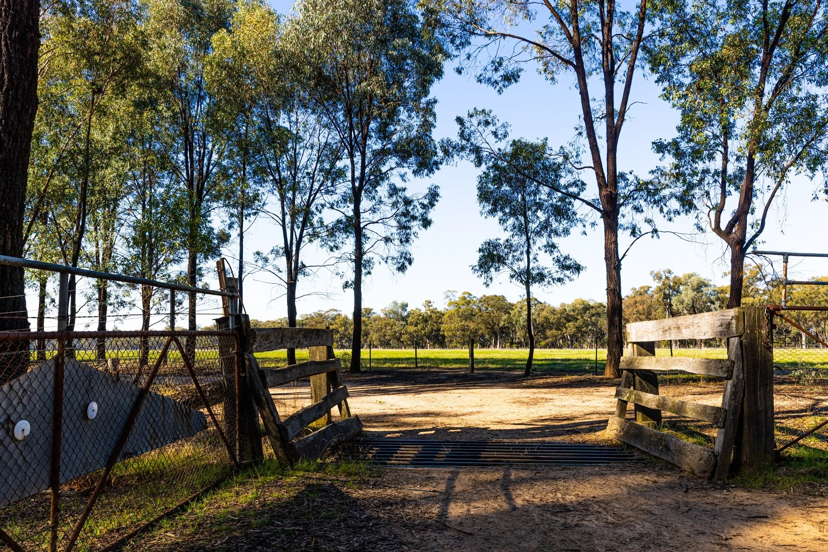 Additional image 3 of 242 Frost Road, Killawarra VIC 3678