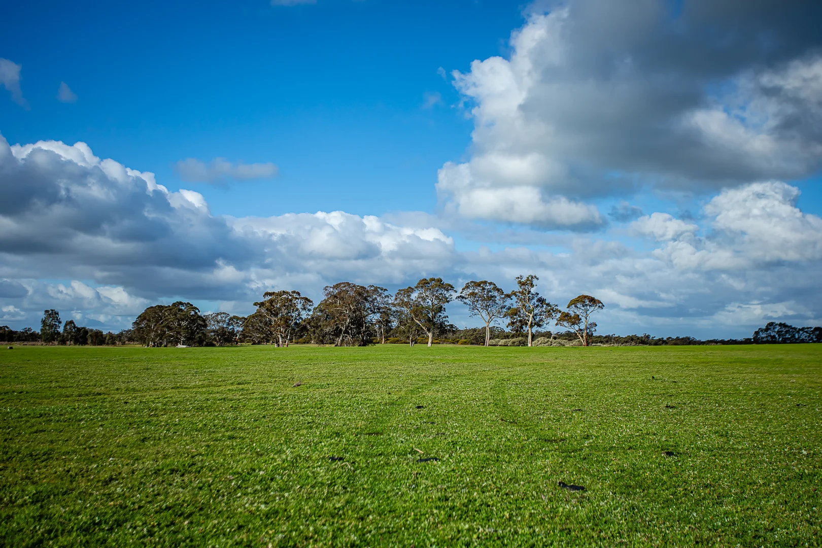 Additional image 4 of 184 Lin Dixons Road, Ullswater VIC 3318