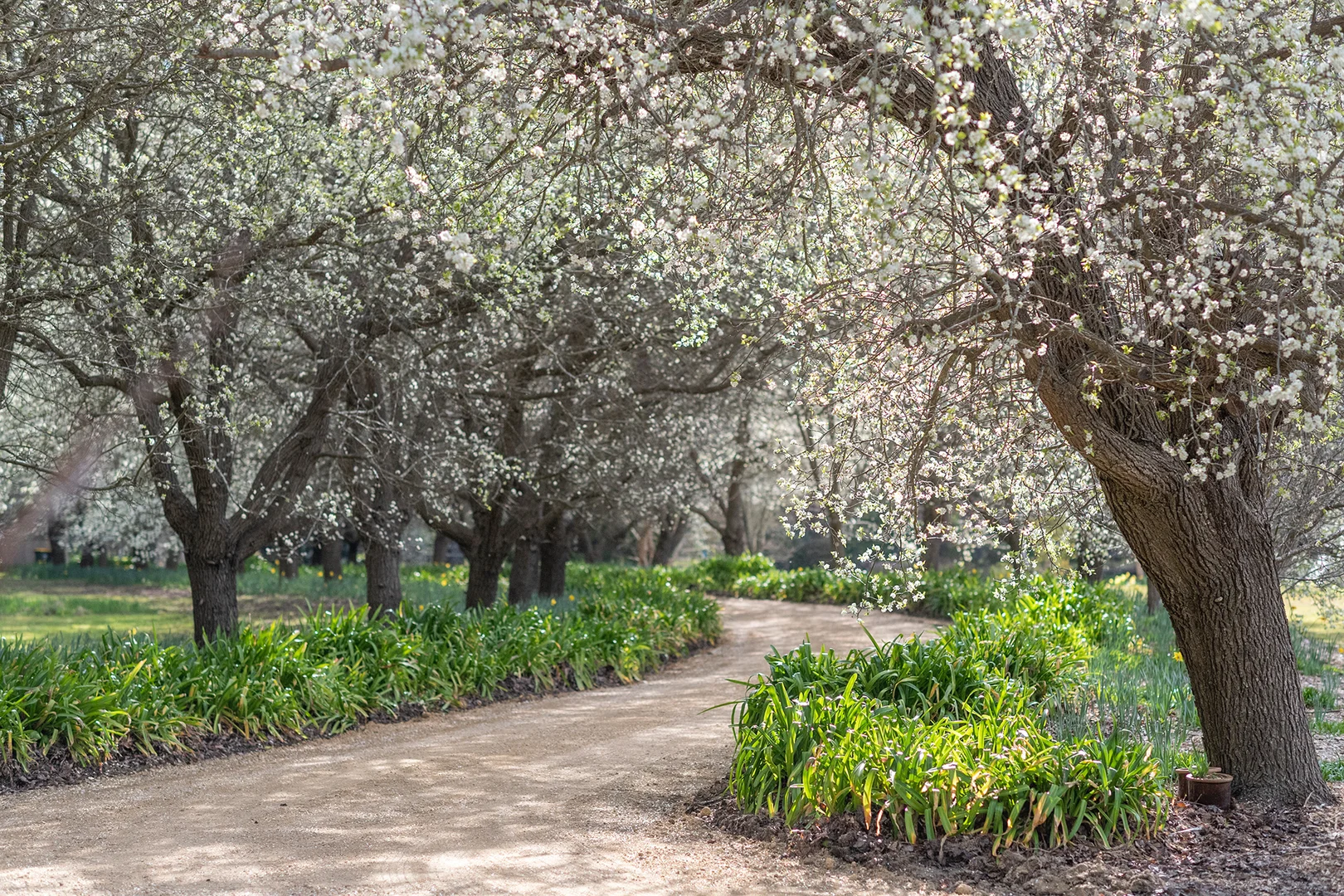 Additional image 18 of 28 Durham Road, Bundanoon NSW 2578