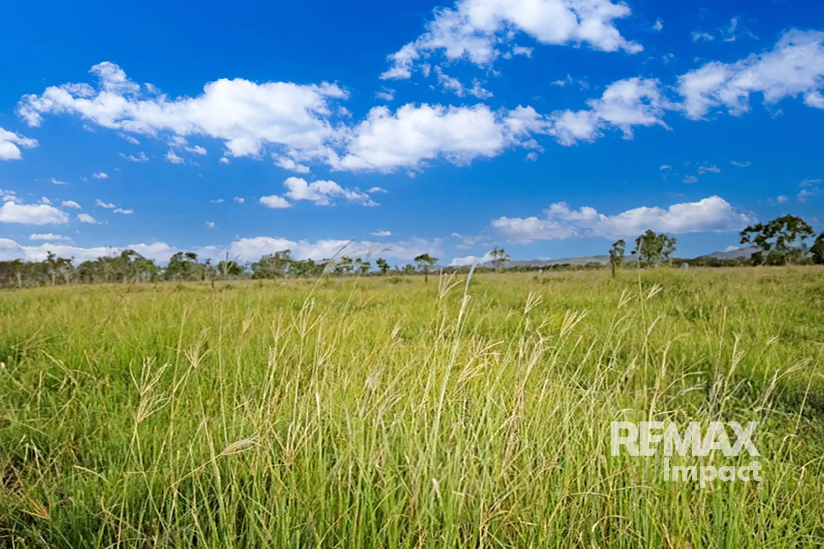 Additional image 13 of 592 Leadingham Creek Road, Dimbulah QLD 4872