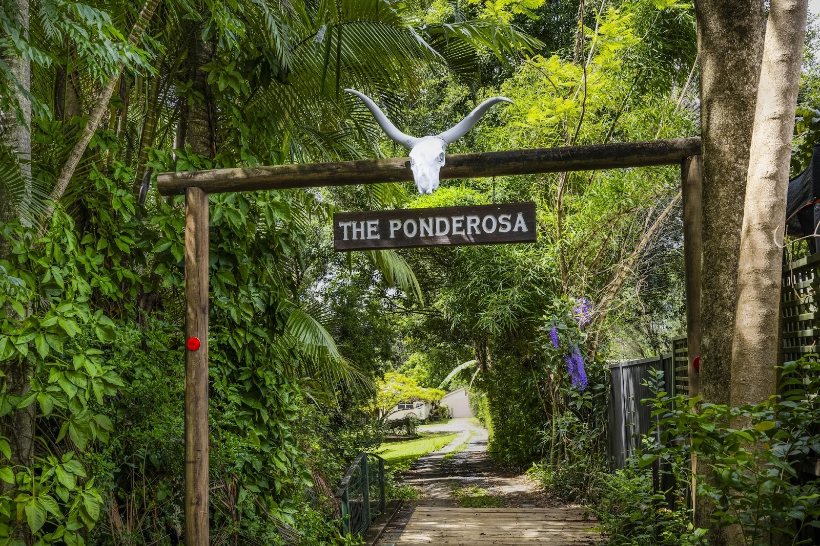 Additional image 5 of 61 Carter Road, Nambour QLD 4560