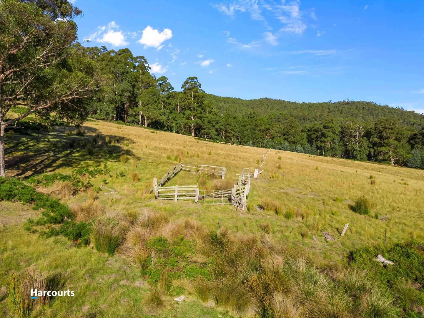 Additional image 30 of 90 Caseys Road, Nicholls Rivulet TAS 7112