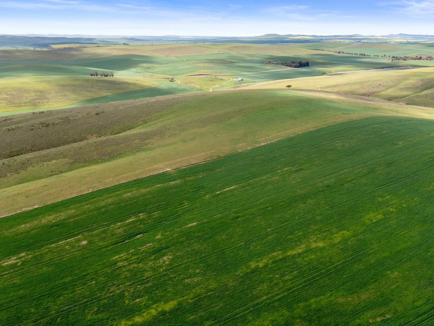 Additional image 6 of 2489 R M Williams Way, Spalding SA 5454