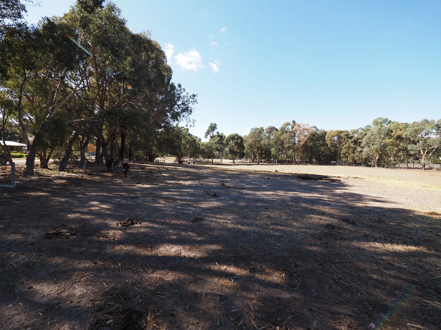 Additional image 5 of Ennis Street, Amphitheatre VIC 3468