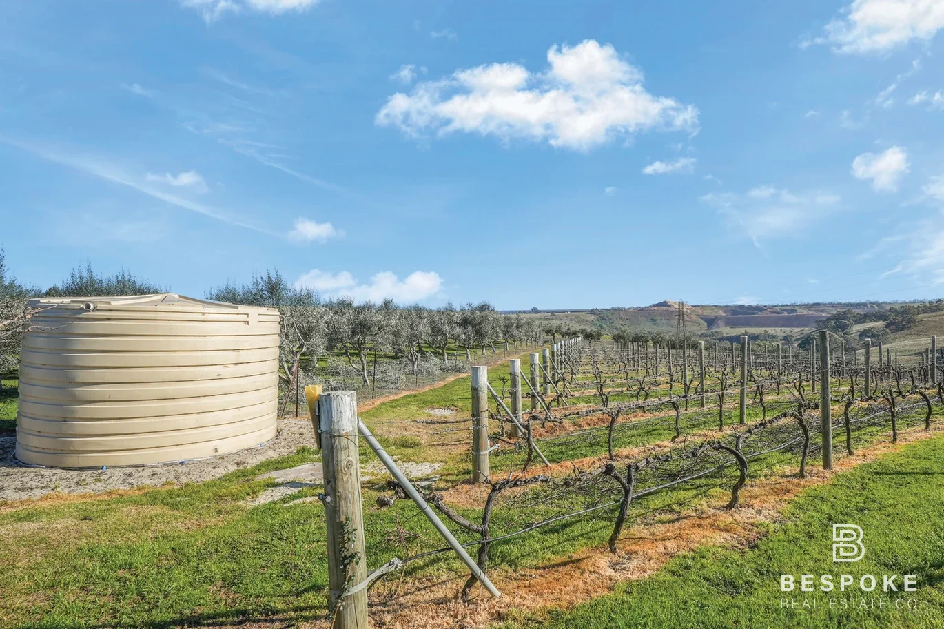 Additional image 19 of 125 Green Street, Bulla VIC 3428