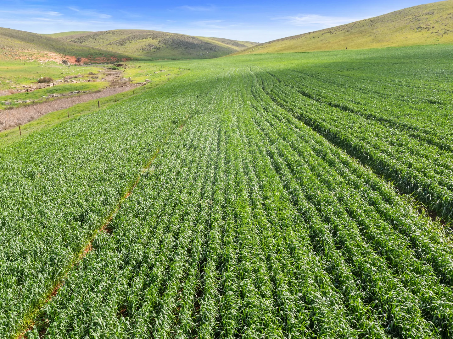 Additional image 3 of 2489 R M Williams Way, Spalding SA 5454