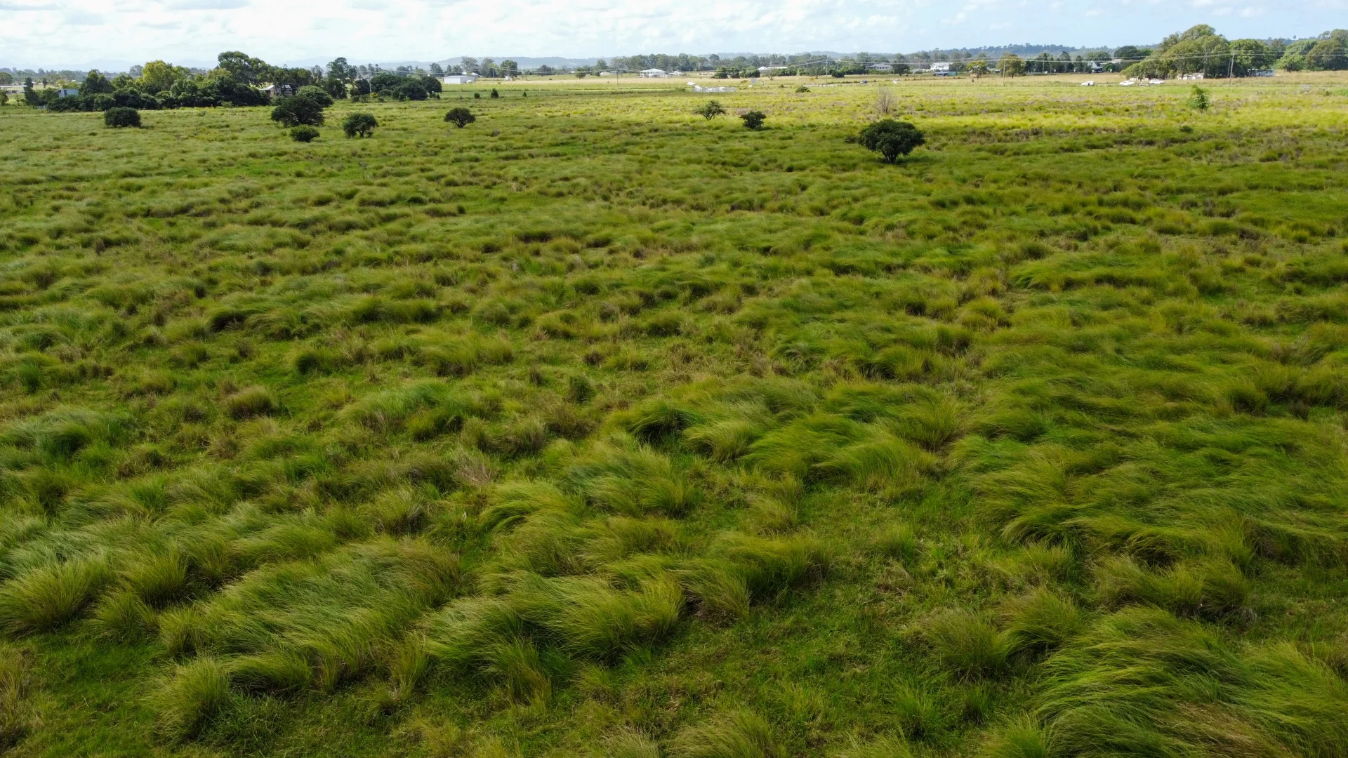 Additional image 4 of 1775 Casino Coraki Road, Coraki NSW 2471