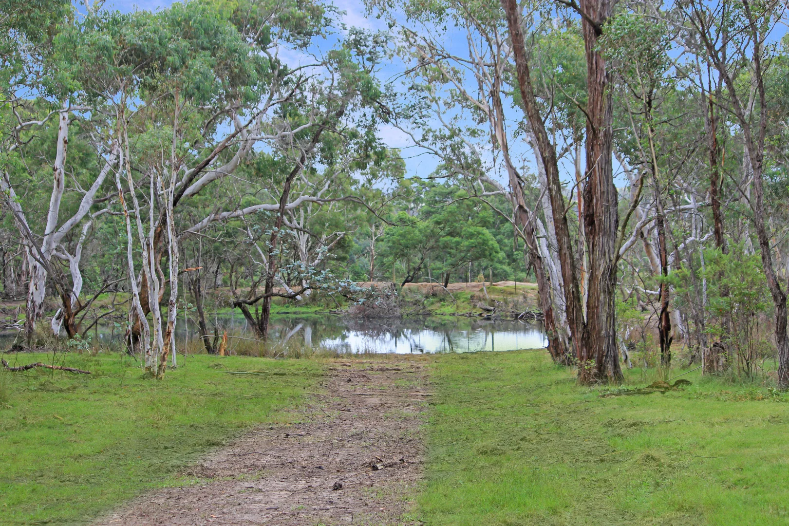 Additional image 9 of 272 Inverary Road, Paddys River NSW 2577