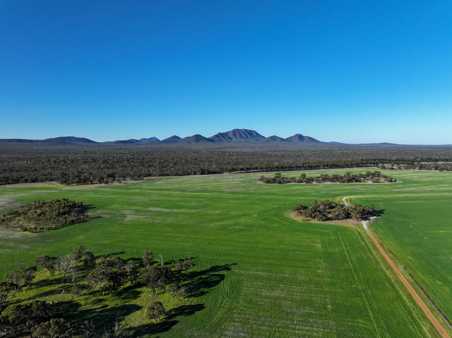 Additional image 15 of 712 View Range Road, Kendenup WA 6323