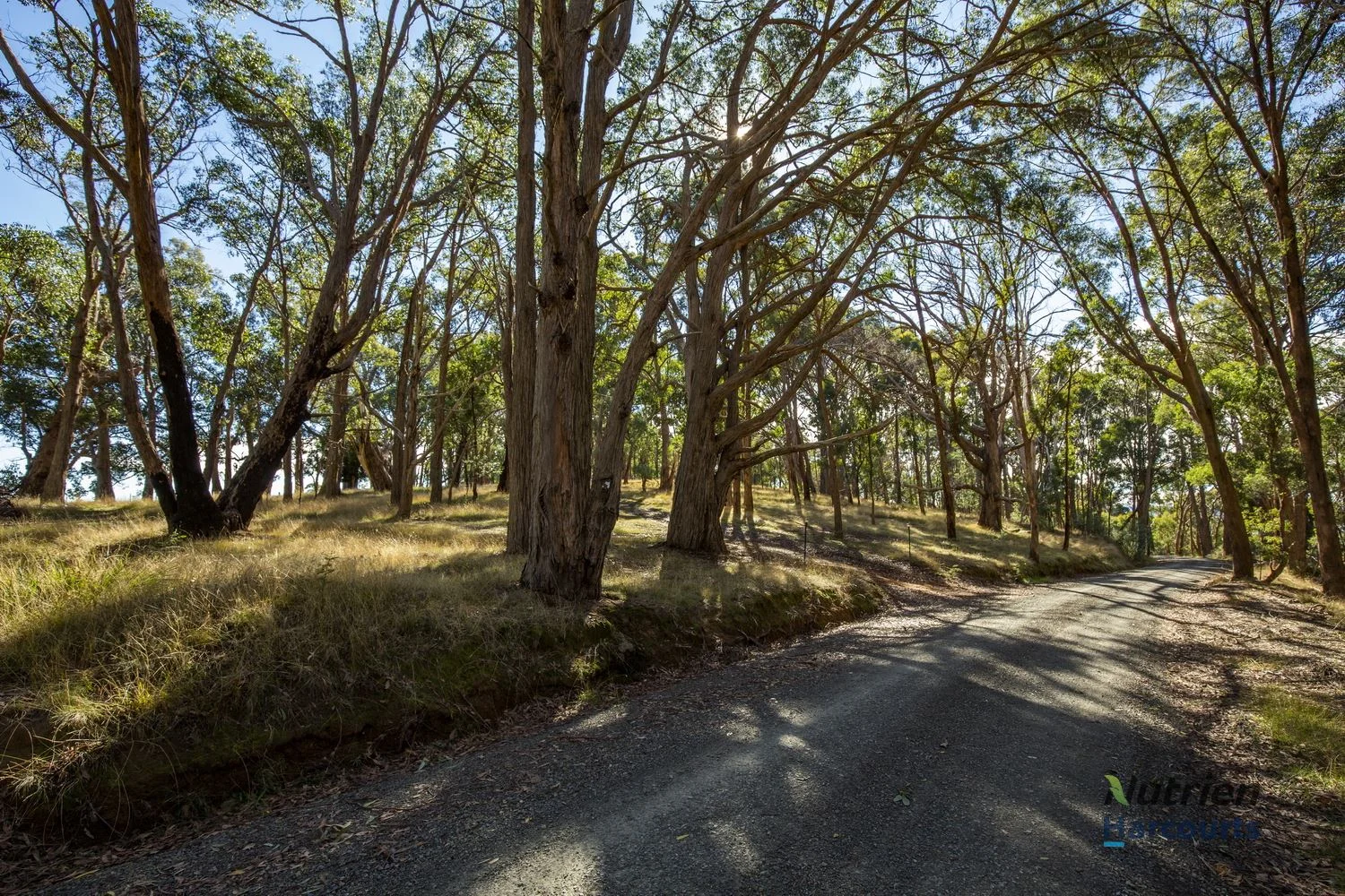 Additional image 7 of Yea VIC 3717