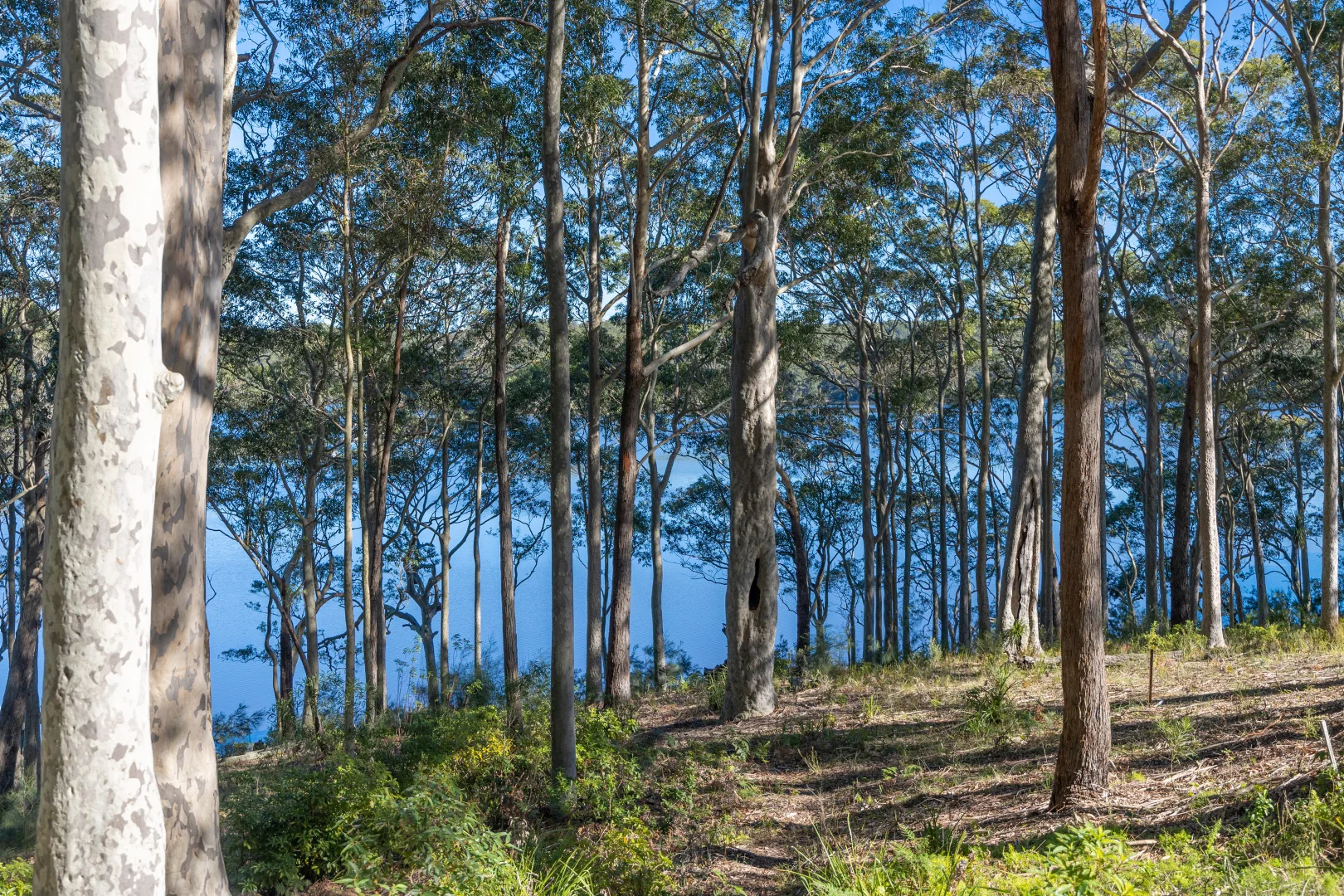 Additional image 3 of 8 William Street, Kings Point NSW 2539