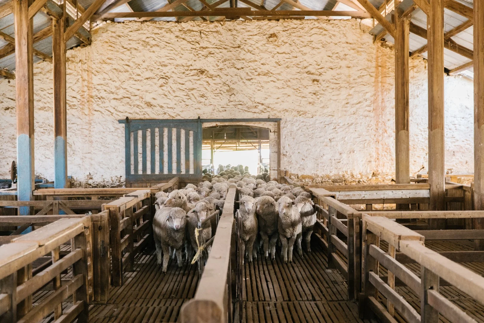 Additional image 20 of 829 Anlaby Road, Hamilton SA 5373