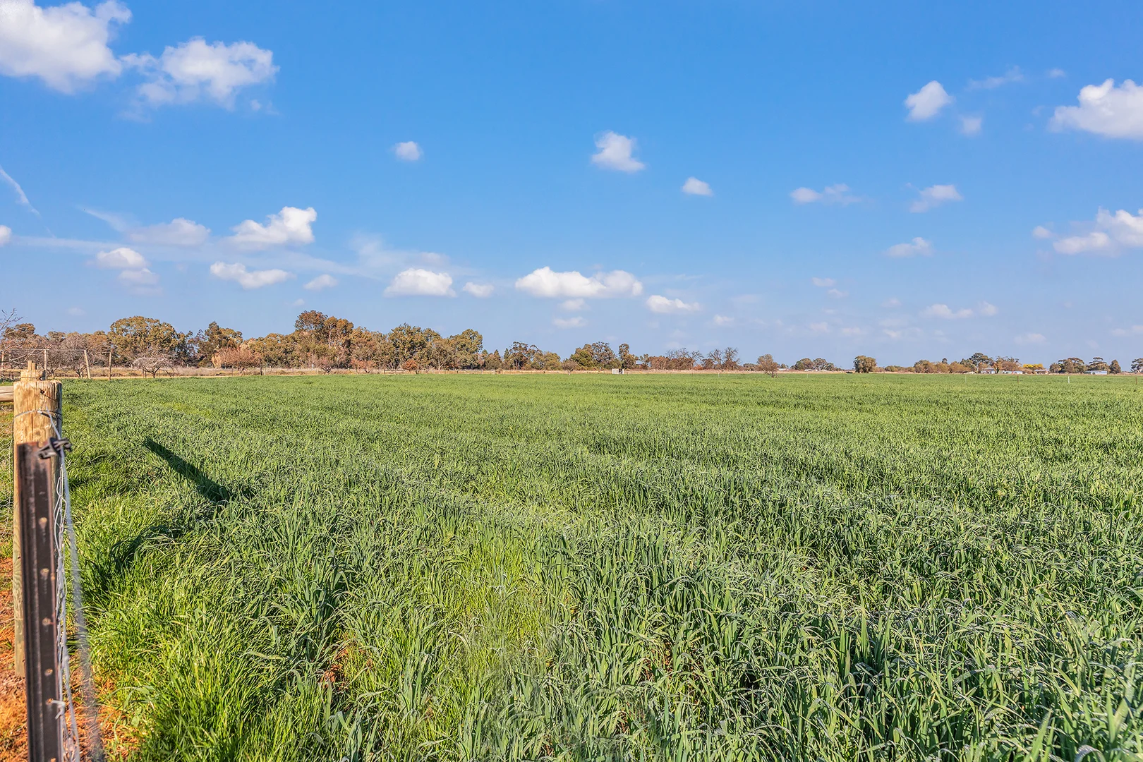 Additional image 21 of 45 Palmer Road, Kyvalley VIC 3621