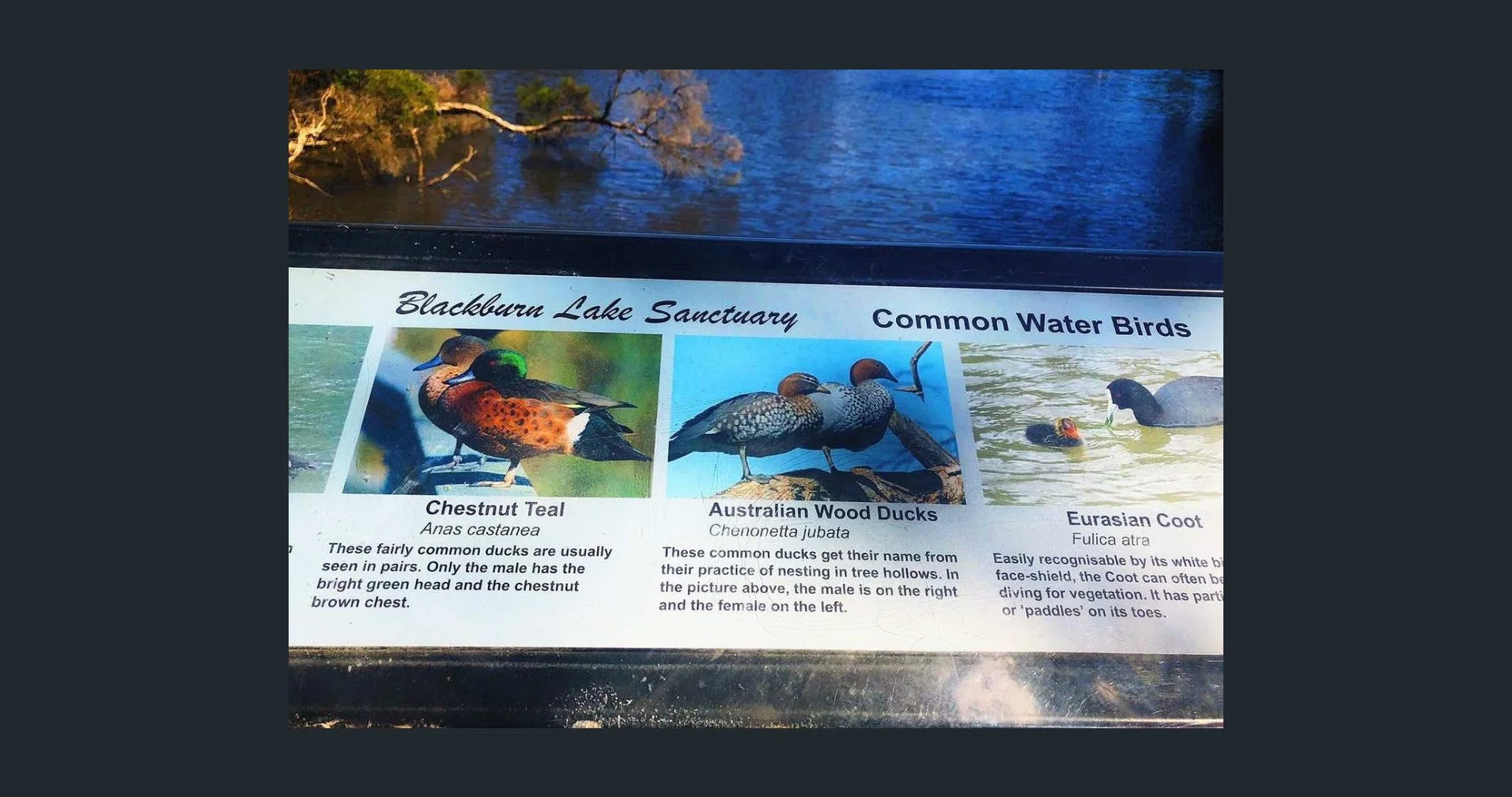 Additional image 5 of 190-192 Central Road, Nunawading VIC 3131