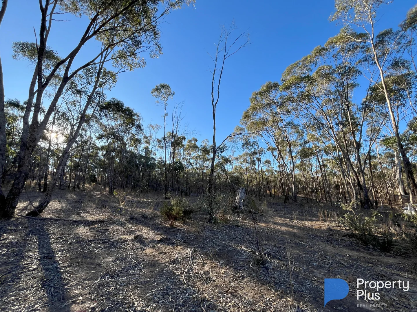 Additional image 9 of 13 Moliagul Drive, Moliagul VIC 3472