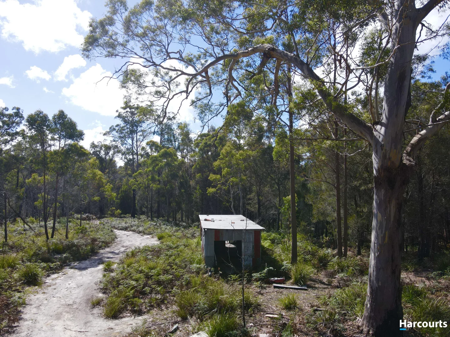 Additional image 12 of 311 Medeas Cove Road, St Helens TAS 7216