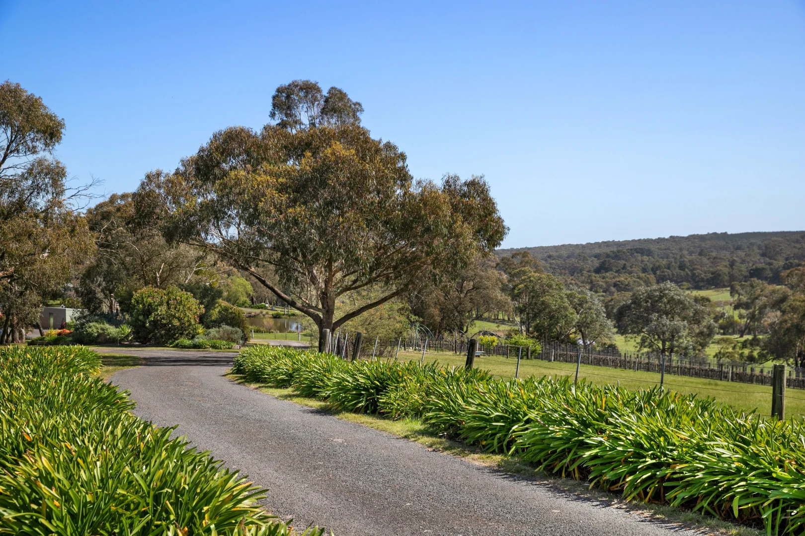 Additional image 27 of 311 Slatey Creek Road North, Invermay VIC 3352