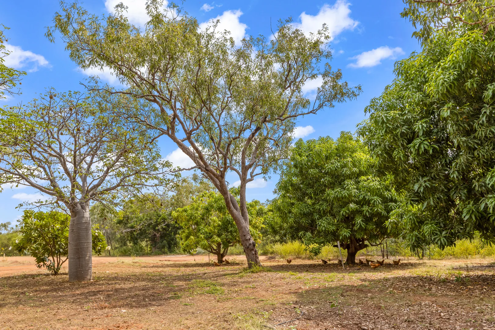 Additional image 20 of 9 Wright Street, Derby WA 6728