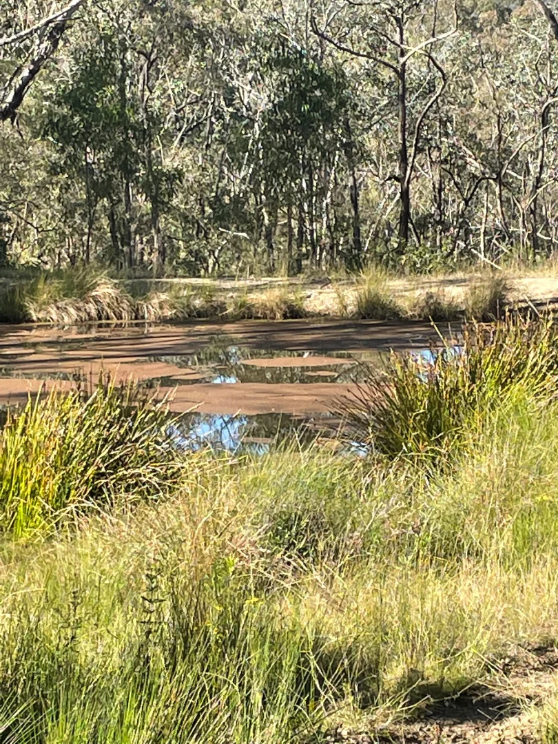 Additional image 7 of Lot 16 Gilgurry, Rivertree NSW 2372