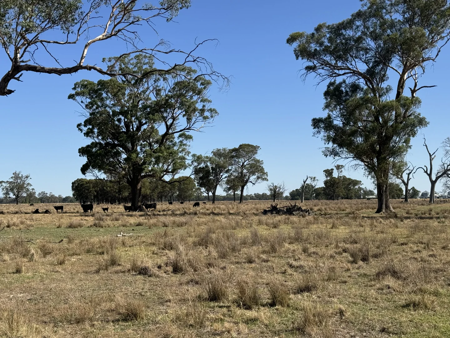 Additional image 10 of 122 Reapers Road, Culcairn NSW 2660