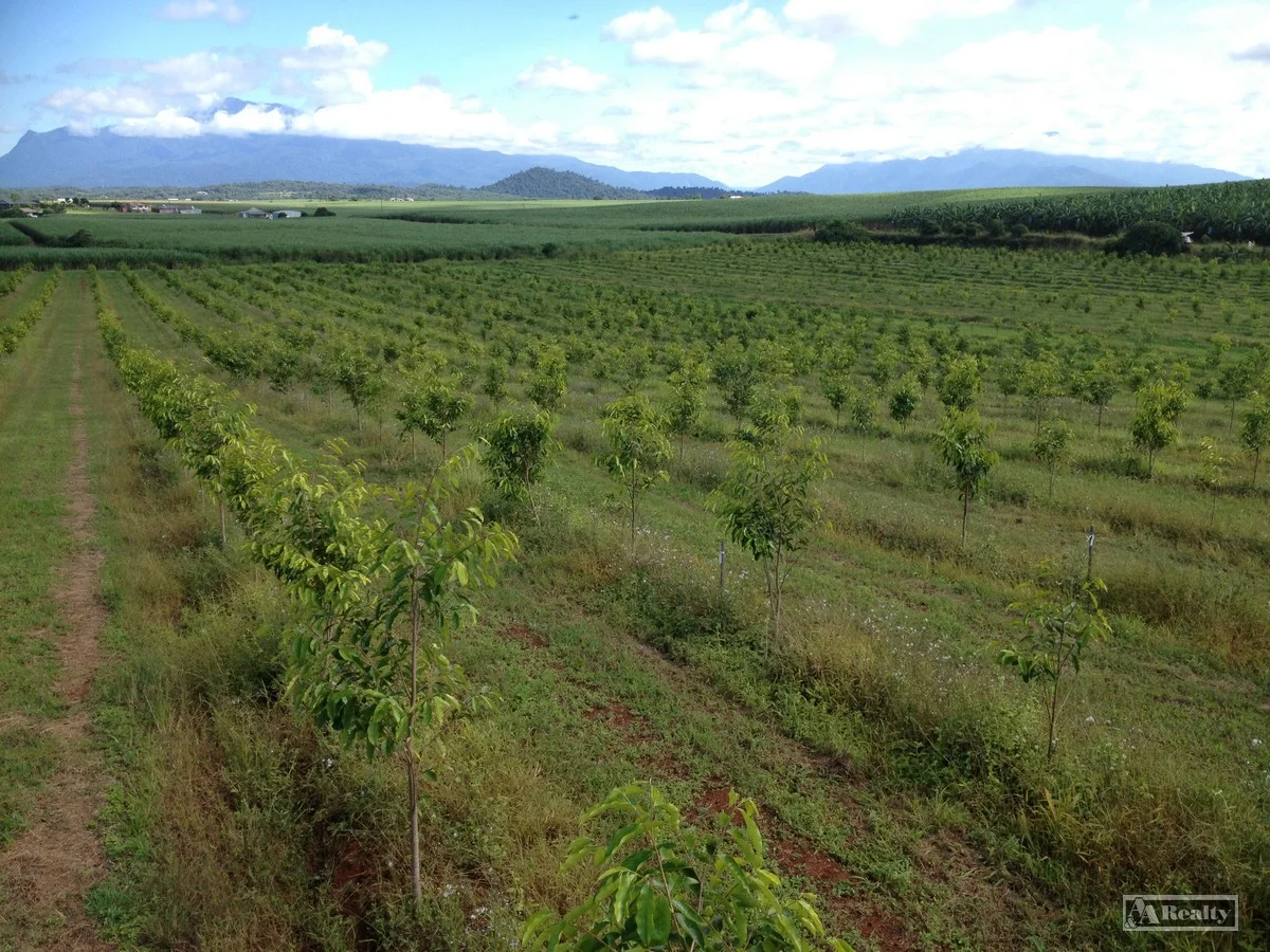 Additional image 10 of L15 Broccardo Road, Garradunga QLD 4860