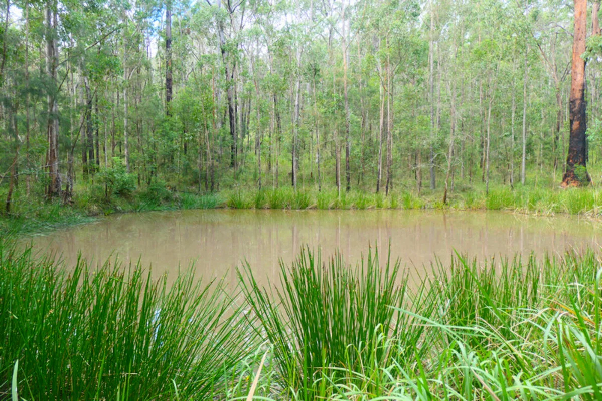 Lot 5 Long Gully Road, Drake NSW 2469