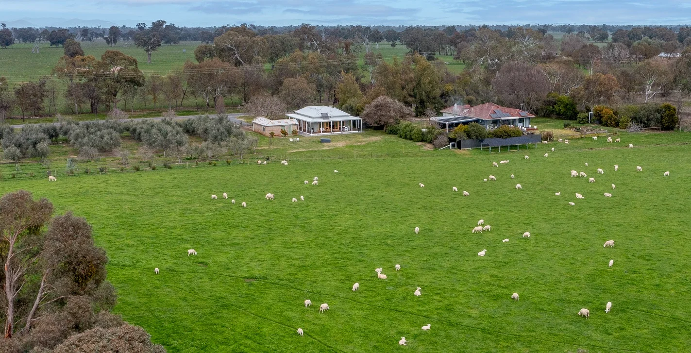 2271 Snow Road, Markwood VIC 3678