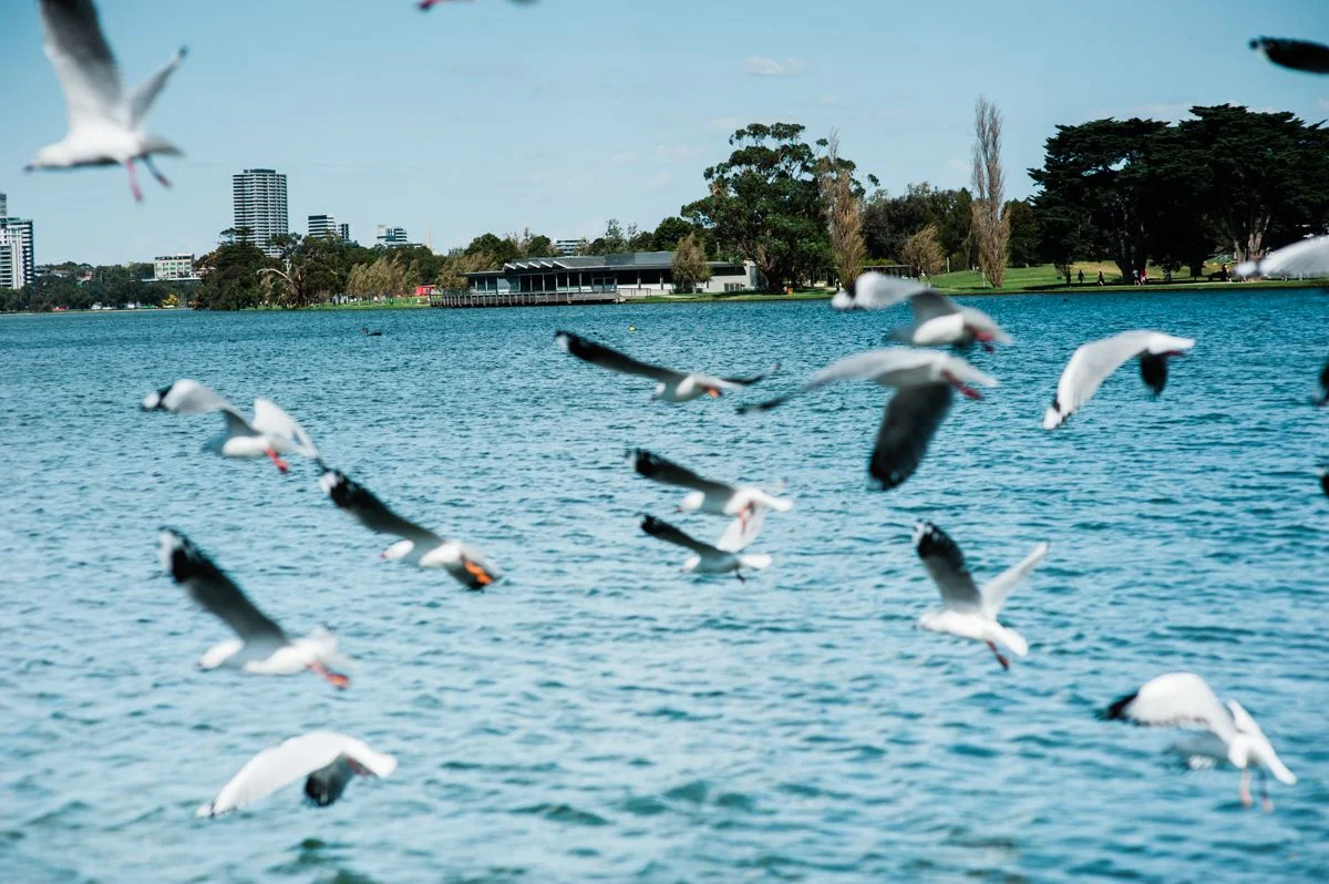 Additional image 11 of 103/159-161 Eastern Road, South Melbourne VIC 3205