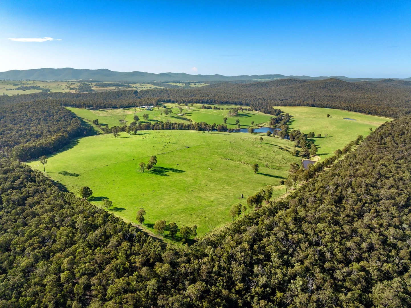 Additional image 4 of 151 Wattle Hill Road, Buchan South VIC 3885