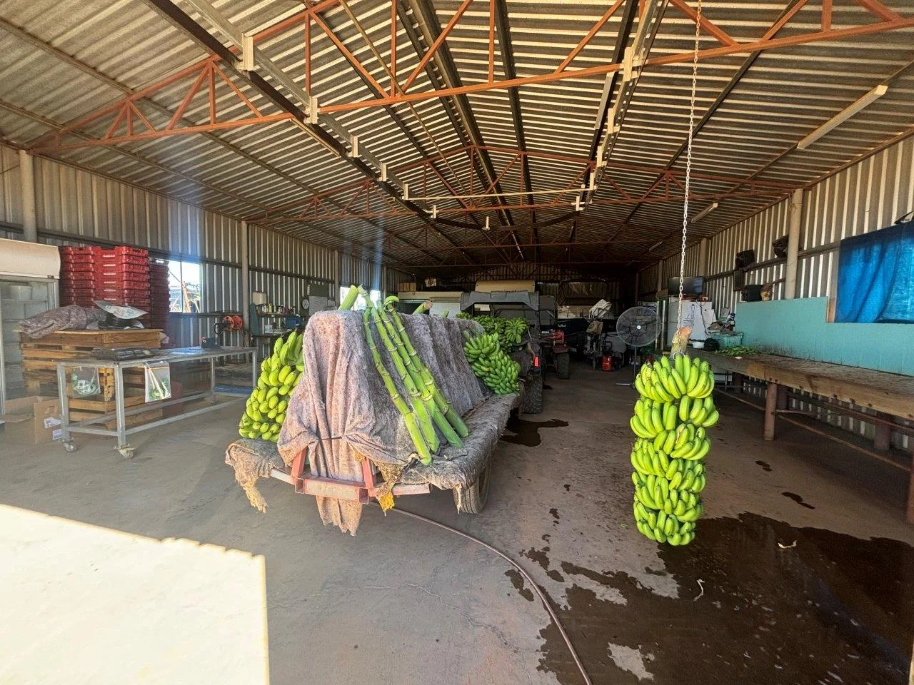 Additional image 28 of 11 Bibbawarra Road, Kingsford WA 6701