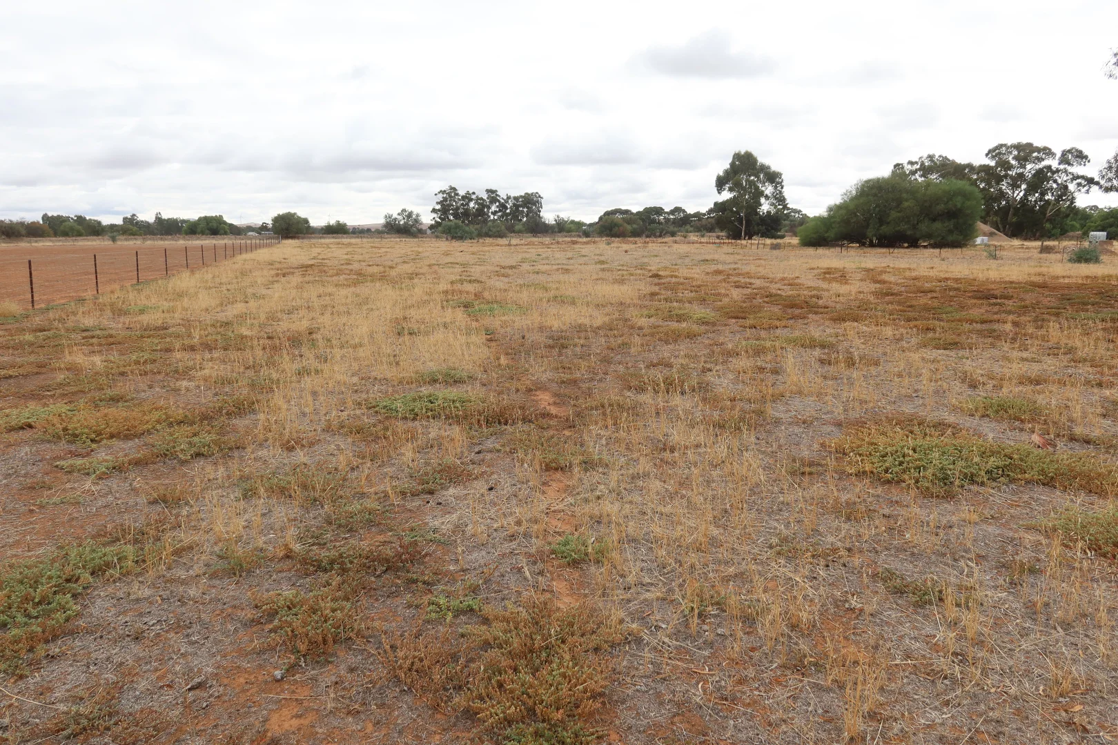 Additional image 5 of Lot 41 Wilkins Highway, Jamestown SA 5491
