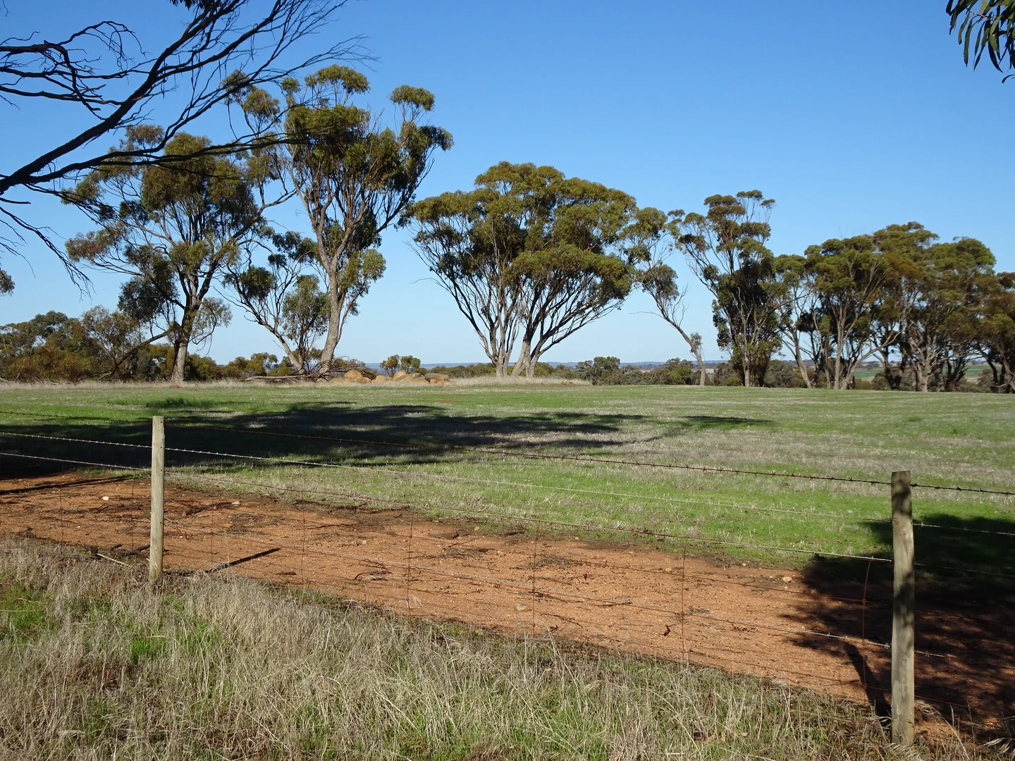 Additional image 22 of Shaddick Road, East Pingelly WA 6308
