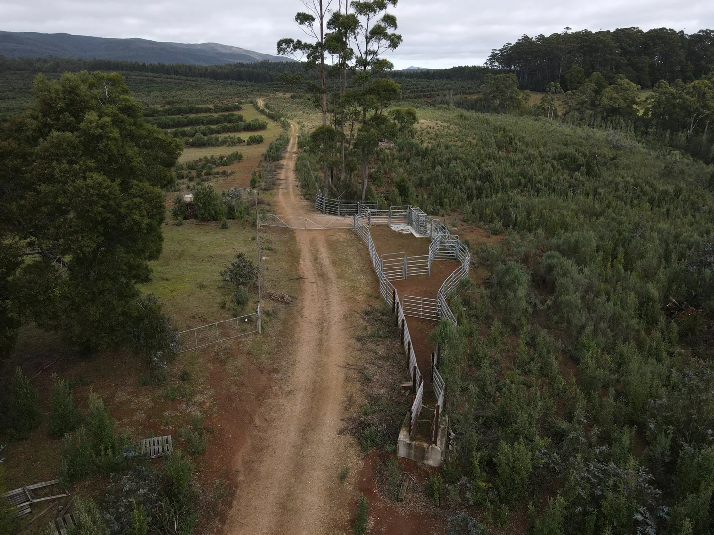 Additional image 12 of 885 Newhaven Road, Mawbanna TAS 7321