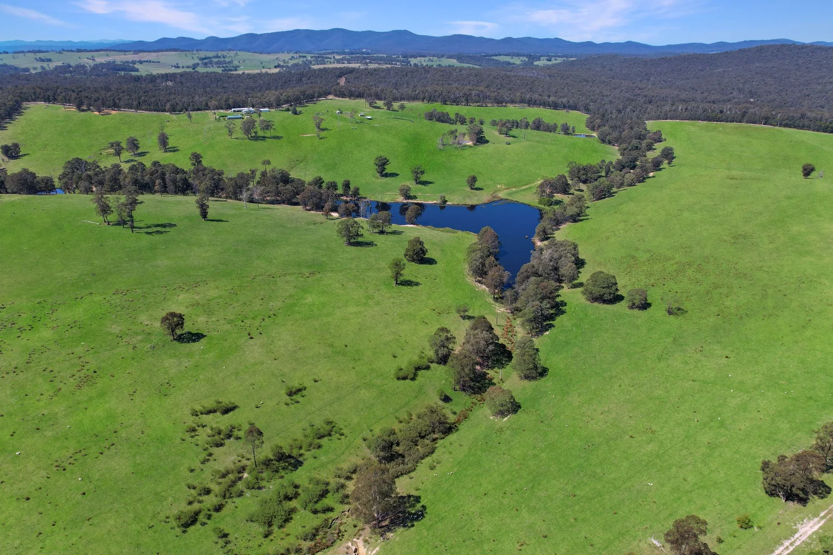 Additional image 16 of 151 Wattle Hill Road, Buchan South VIC 3885