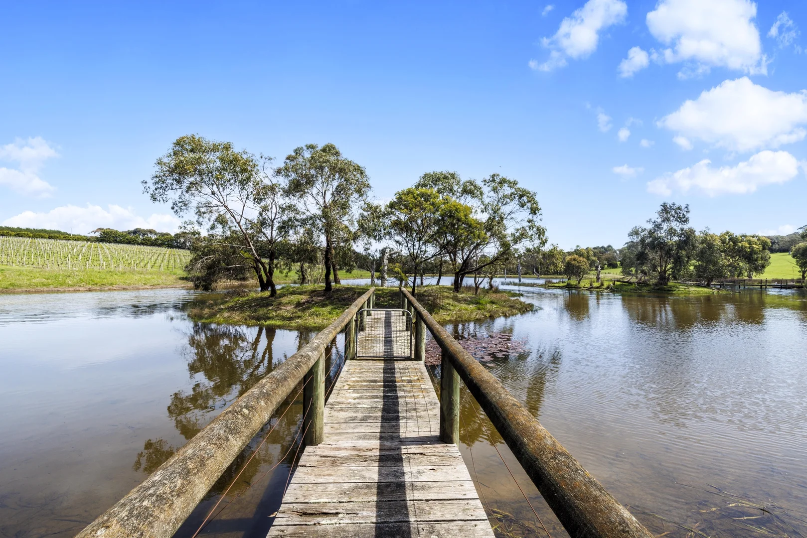 Additional image 9 of 50 Foxeys Road, Tuerong VIC 3915