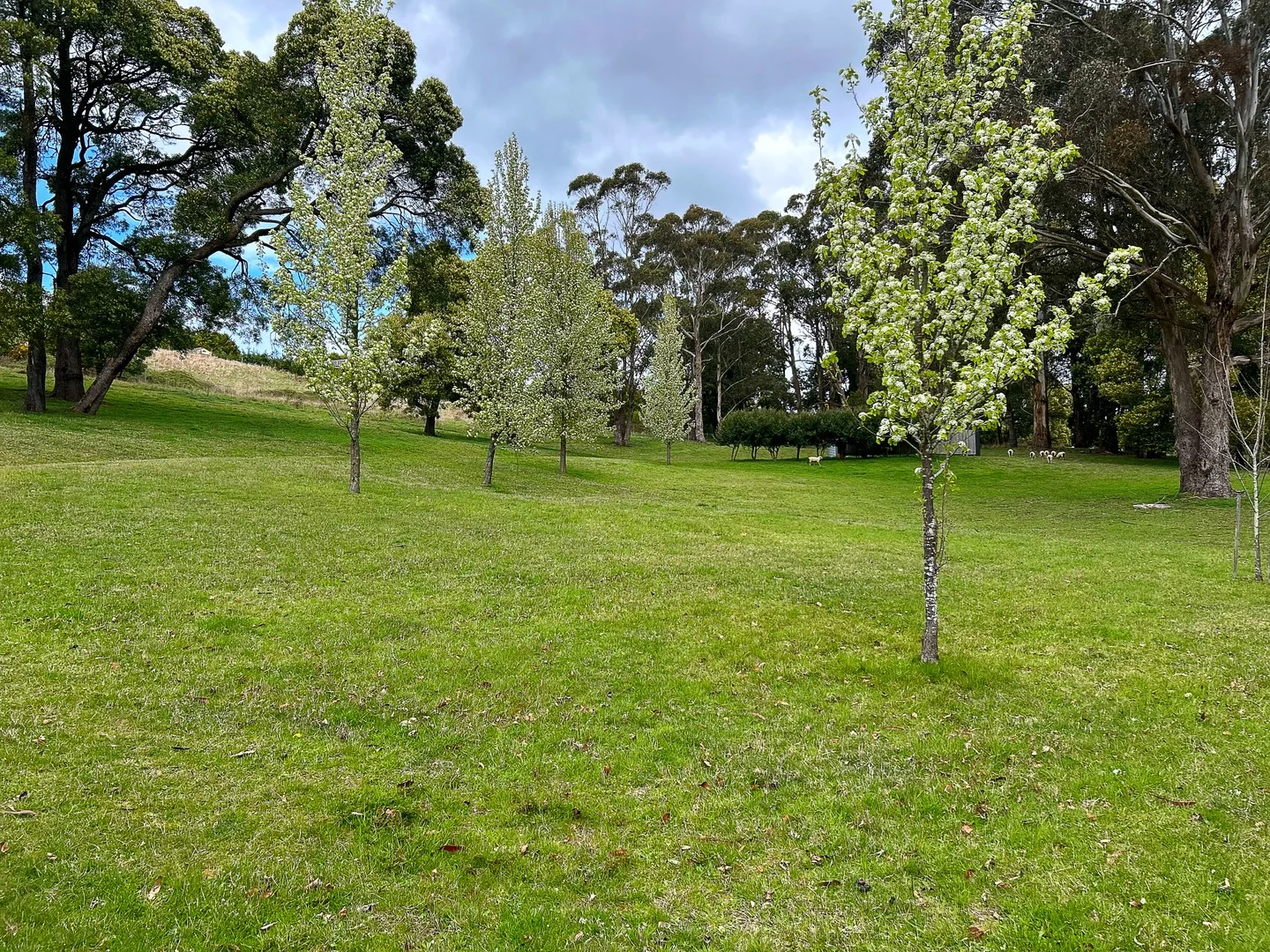 1240 Daylesford-Trentham Road, Lyonville VIC 3461