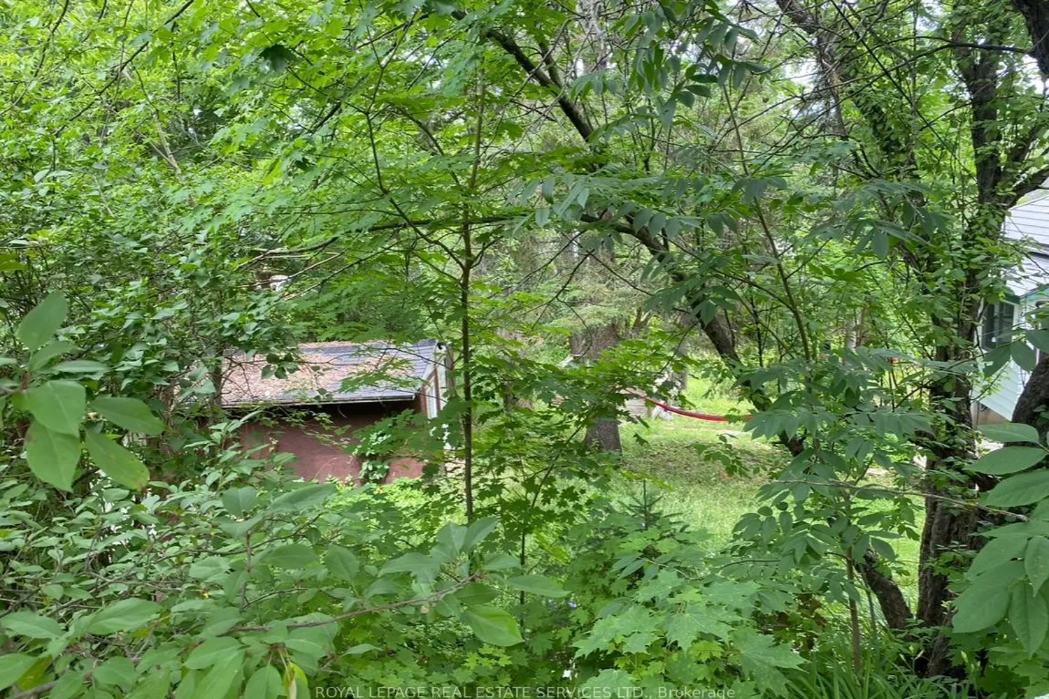 Additional image 16 of 16 Cora Street