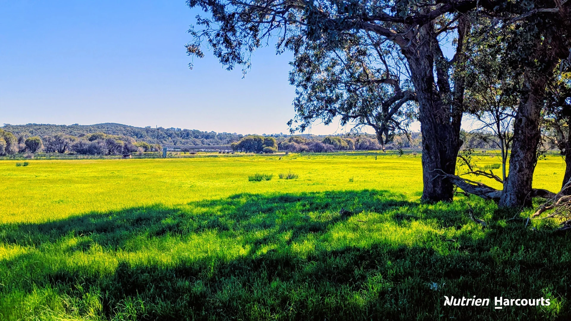 Additional image 19 of Lot 52 Cowalla Road, Cowalla WA 6503