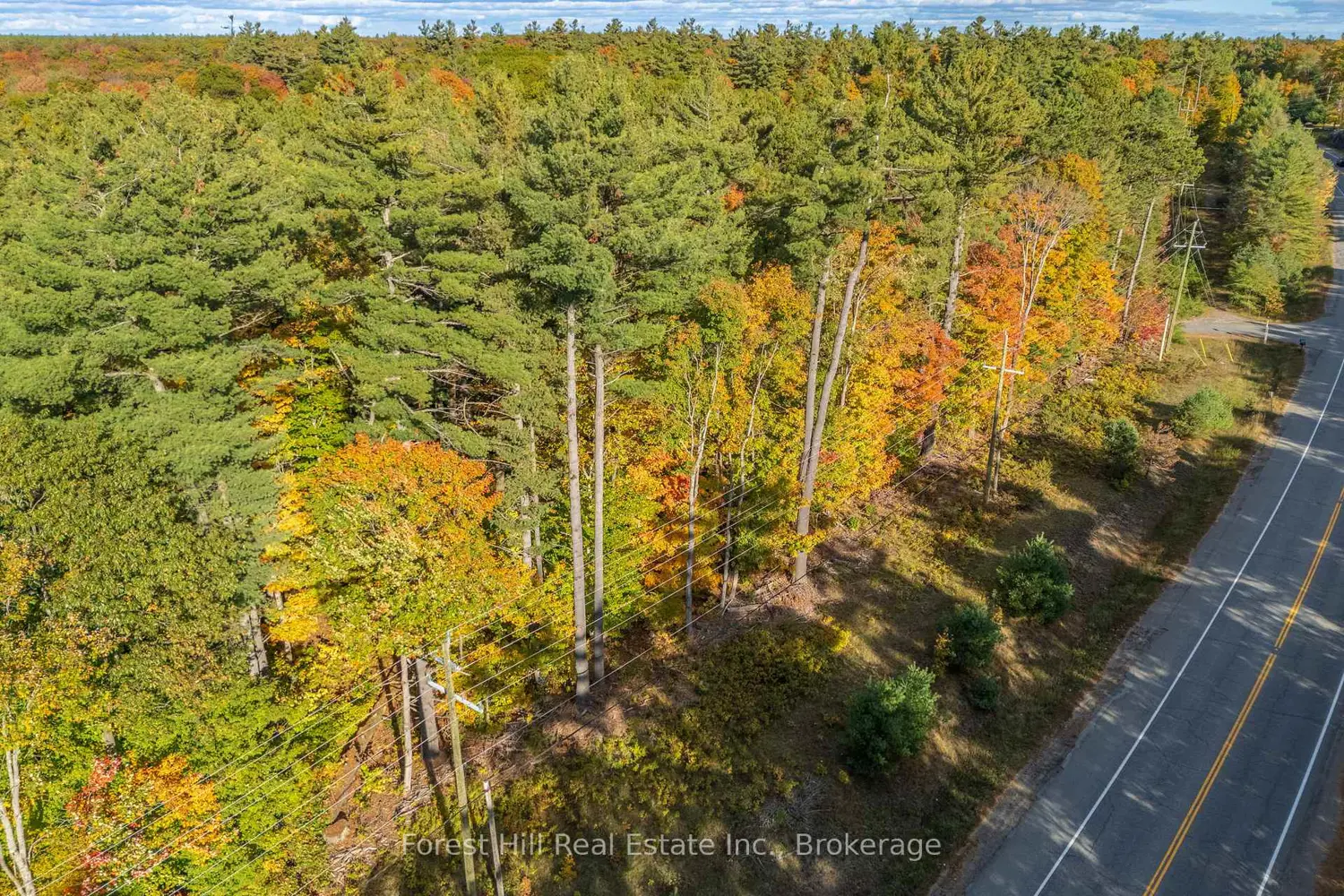 Additional image 16 of 3864 Highway 118