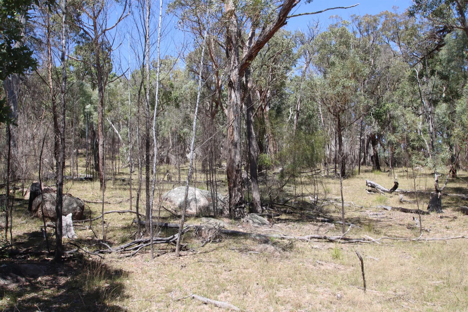 Additional image 11 of Lot 1 Brusharbers Road, Tenterfield NSW 2372