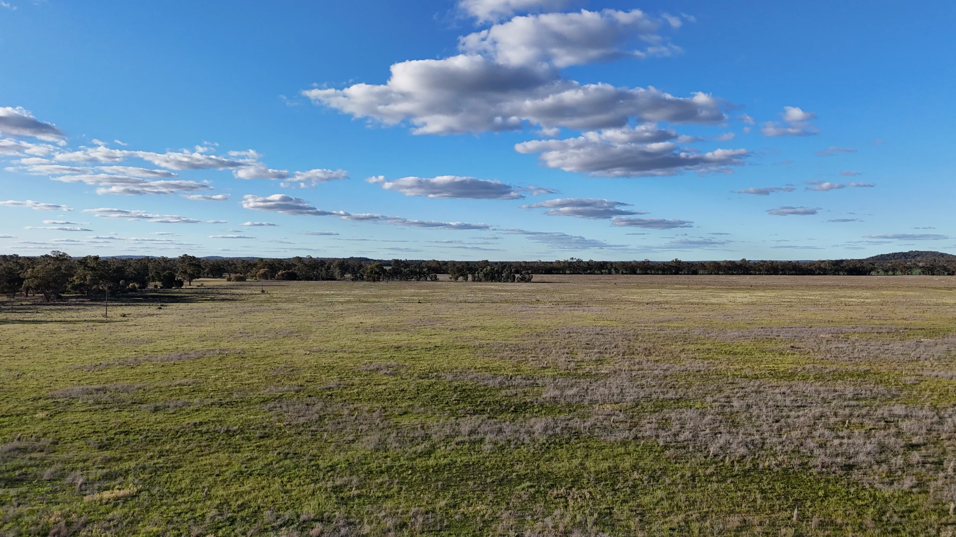 Additional image 60 of 3544 Henry Parkes Way, Bogan Gate NSW 2876