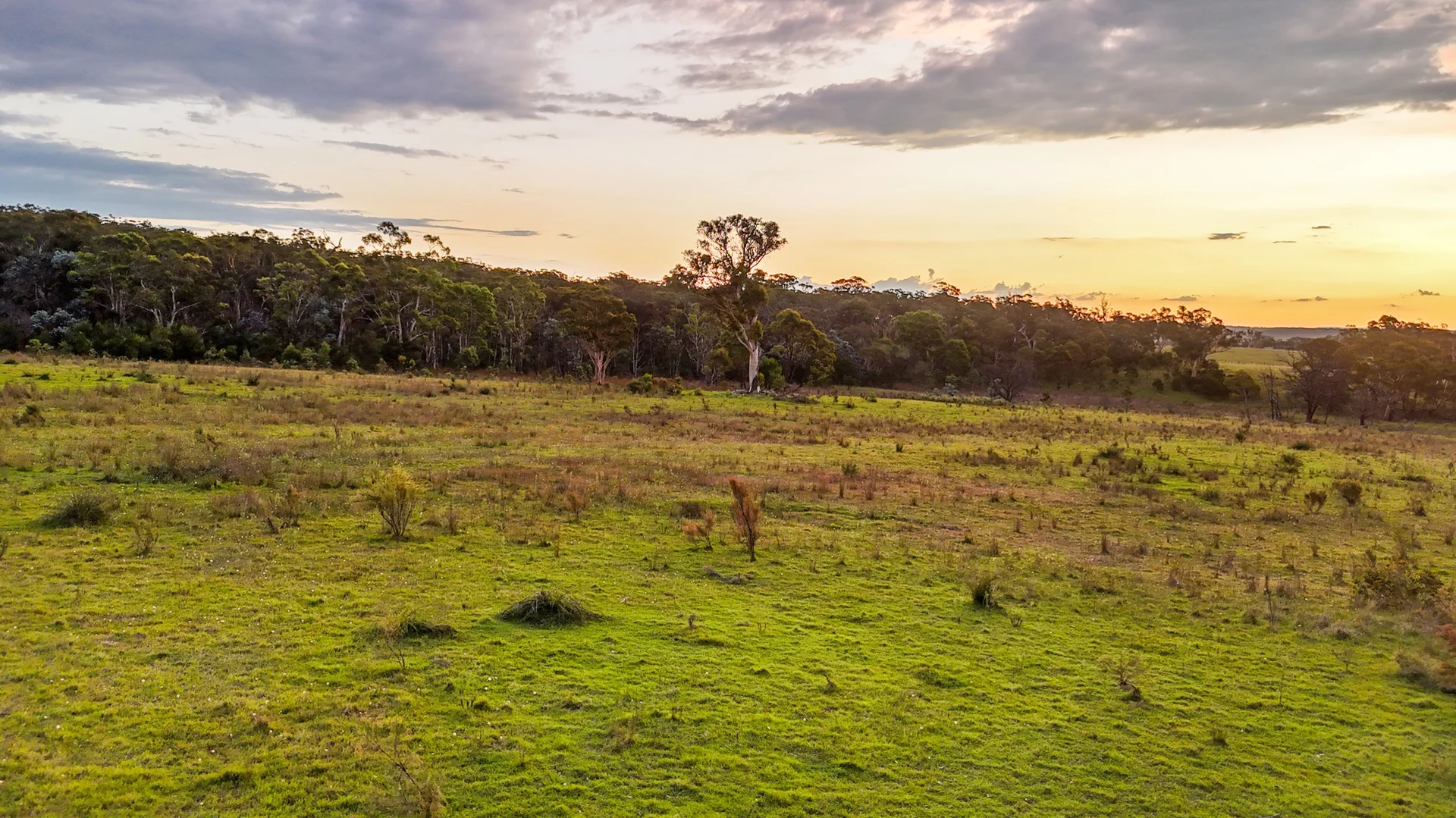 Additional image 8 of 272 Inverary Road, Paddys River NSW 2577