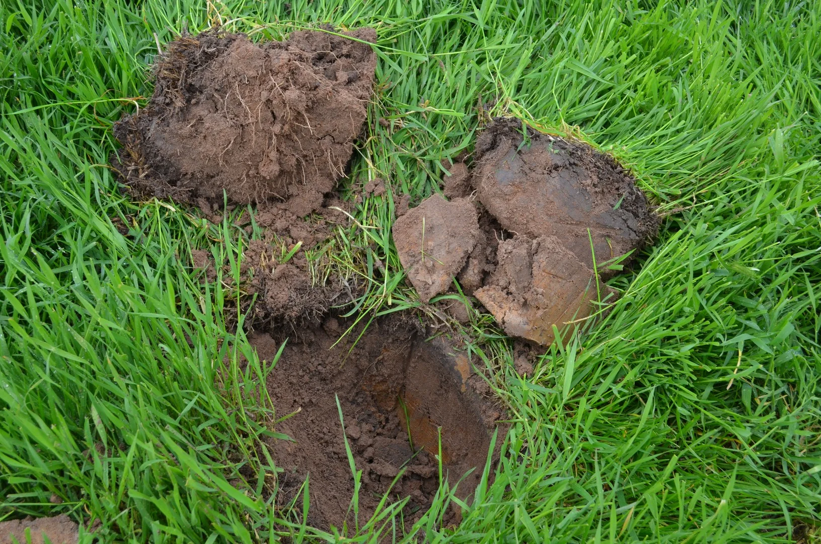 Additional image 2 of 260 Burns Munn Road, Edenhope VIC 3318