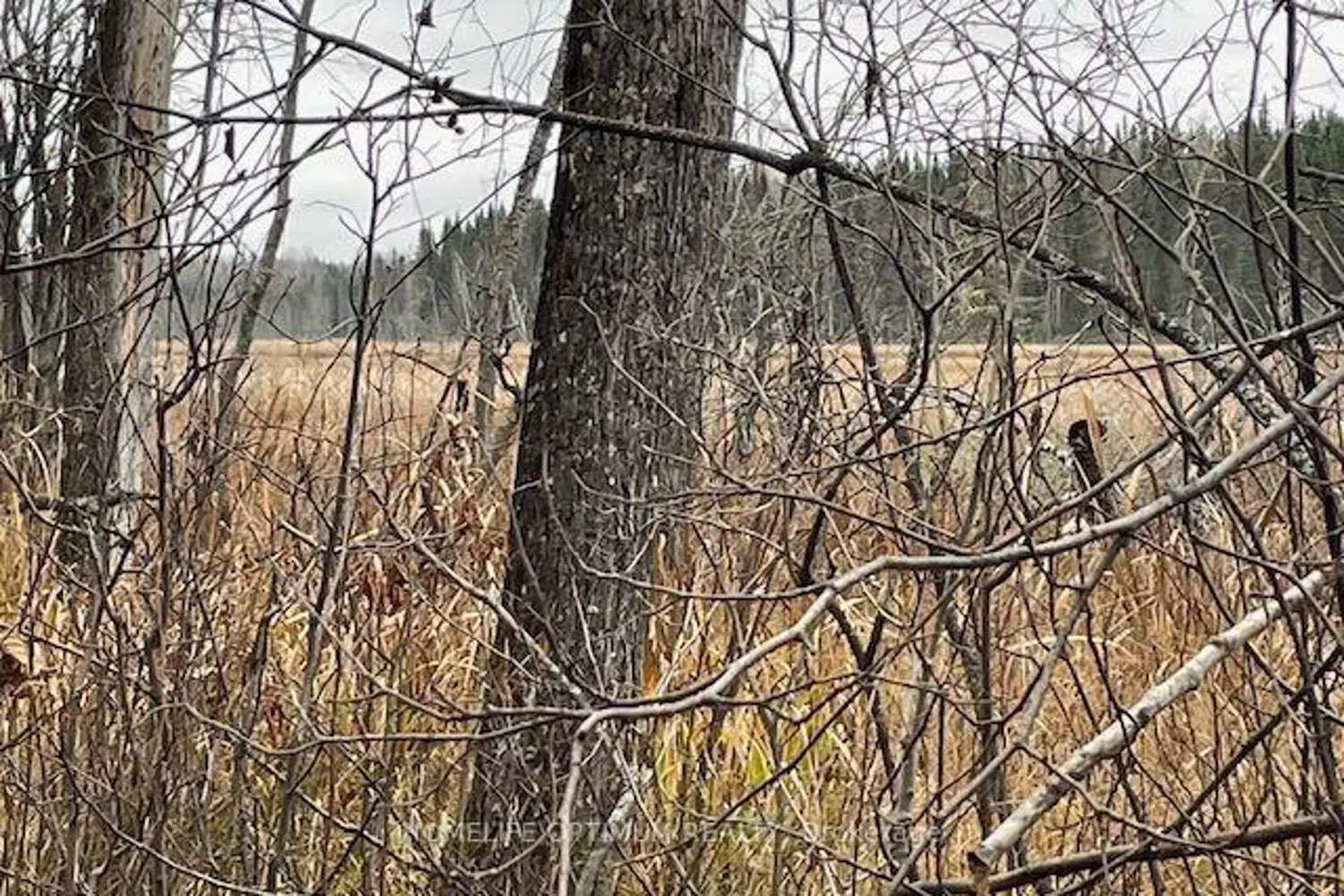 Additional image 5 of Pcl 7576 0