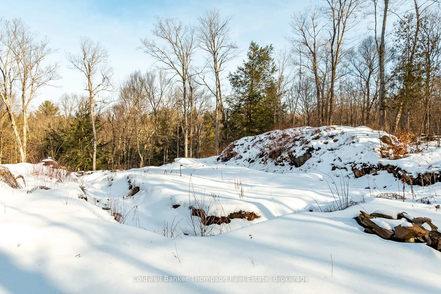 Additional image 7 of 16 Claren Crescent