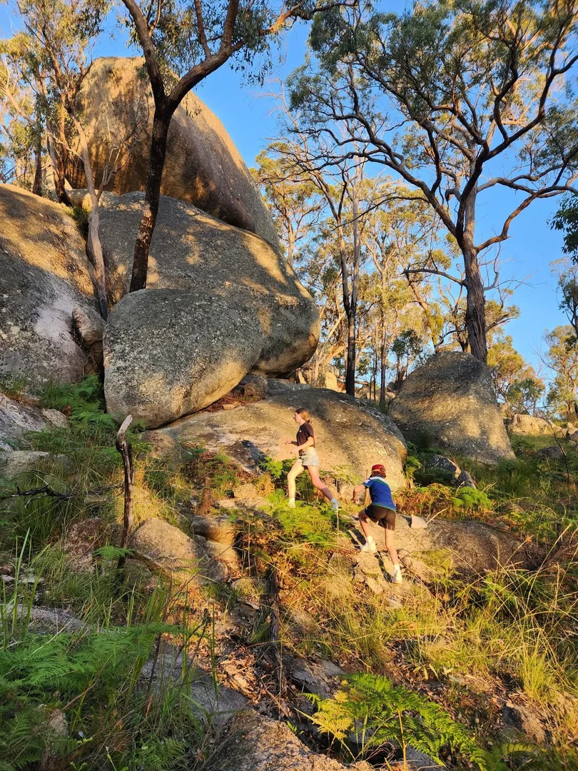 Additional image 21 of Lot 1 Brusharbers Road, Tenterfield NSW 2372