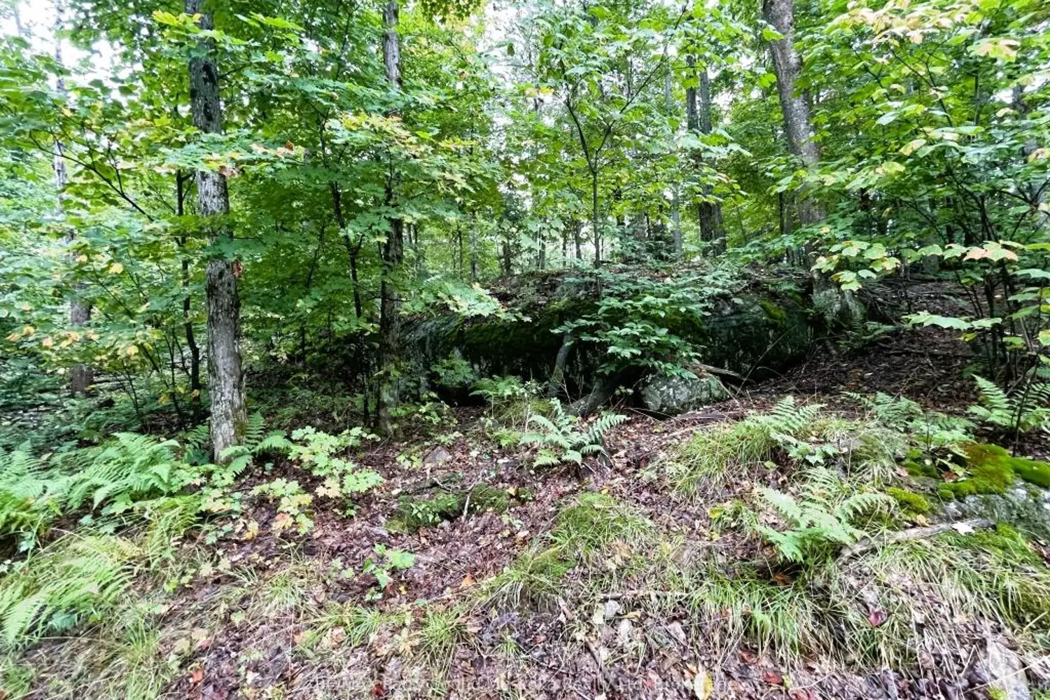 Additional image 10 of 75 Granite Drive