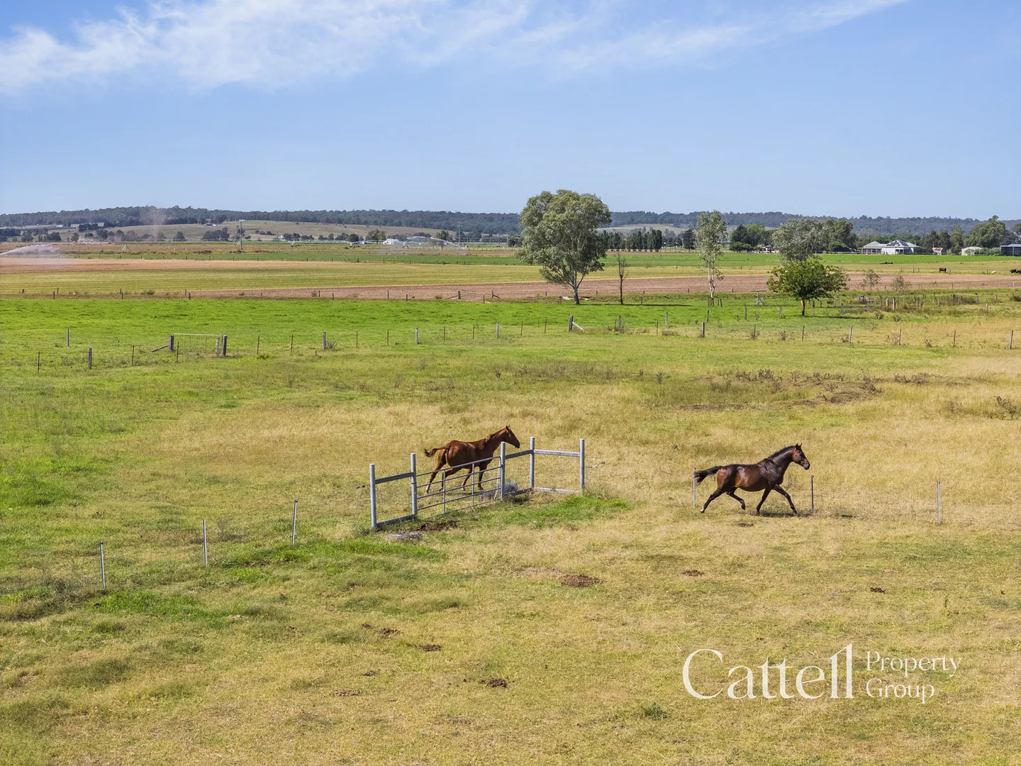 Additional image 15 of 586 Glendon Road, Singleton NSW 2330